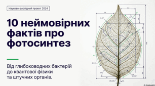 Фотосинтез: від еволюційних витоків до універсальних рубежів