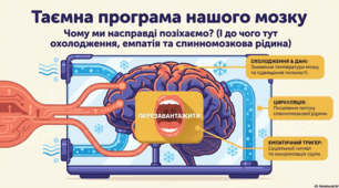 Теорія терморегуляції позіхання: механізми та клінічні дослідження