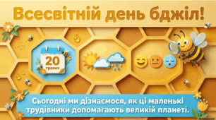 20 травня - ранкова зустріч. День бджіл.
