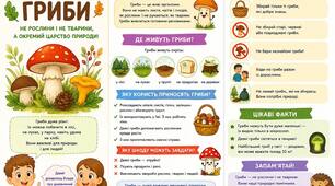 Буклети "Гриби"