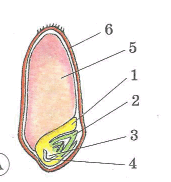 0901zk7a-c00f-215x229.png