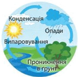 0901zlk5-c9a7-263x259.png