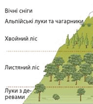 0901zlkw-2866-298x333.png