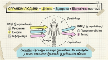 0901zp0e-19bd-410x231.png