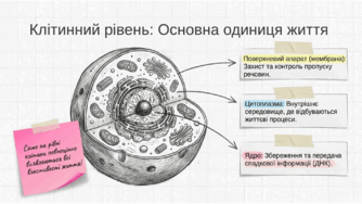 0901zp1k-0ff2-366x206.png