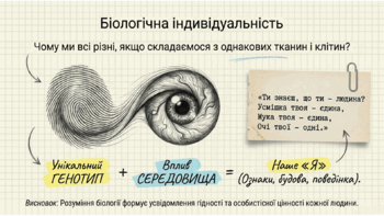 0901zp2p-3558-388x219.png