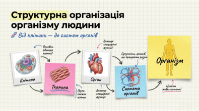 0901zpvl-39f7-395x222.png