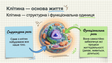 0901zpwt-0f0e-383x216.png