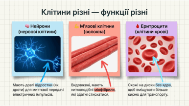 0901zpwz-917a-386x217.png