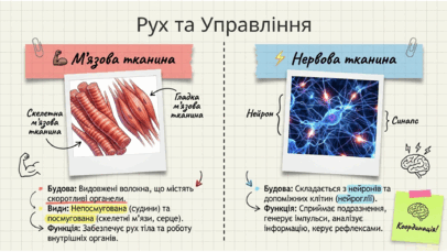 0901zpxk-5e3a-406x229.png