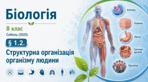Структурна організація організму людини. 8 клас НУШ