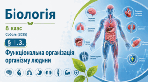 Функціональна організація організму людини. 8 клас НУШ
