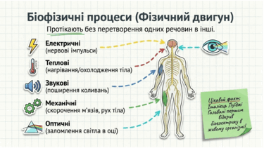 0901zq84-3195-375x211.png