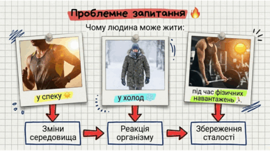 0901zqe1-0a9d-388x218.png
