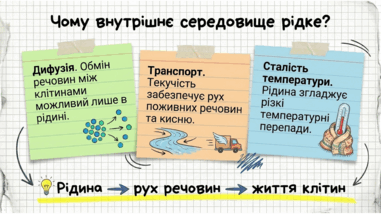 0901zqev-488a-381x214.png