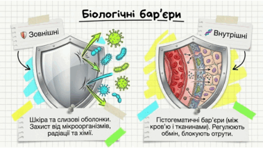 0901zqfs-5169-379x213.png