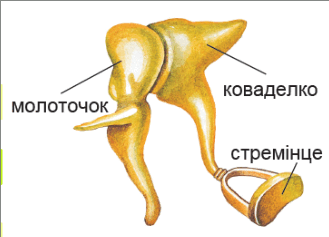 0901zr4u-9a08-329x237.png