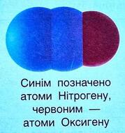 0800xgoo-9762-247x263.jpg