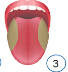 0901zrbu-6893-135x144.png