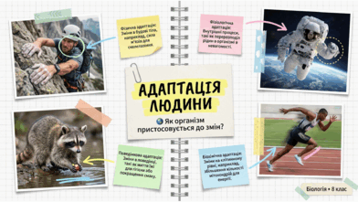 0901zrk2-24c3-392x221.png