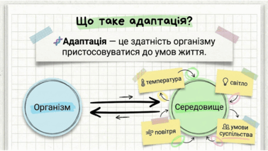 0901zrl2-8d83-378x213.png