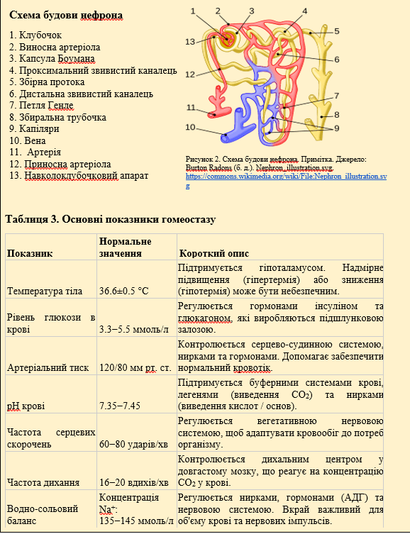 0901zrt0-933c-578x753.png