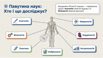 0901zrun-bceb-390x220.png