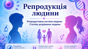 «Репродукція людини. Репродуктивна система людини. Статеве дозрівання людини»