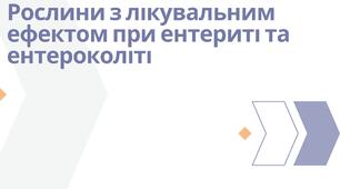 Презентація на тему "Рослини з лікувальним ефектом при ентериті та ентероколіті"