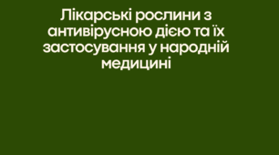 Презентація на тему "Лікарські рослини з антивірусною дією та їх застосування у народній медицині"