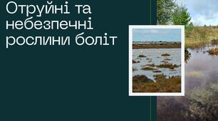 Презентація на тему "Отруйні та небезпечні рослини боліт"