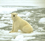 0901zylh-c50c-152x139.png