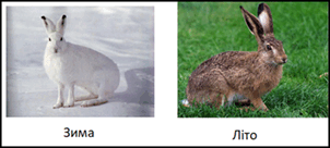 0901zynh-15ec-302x136.png