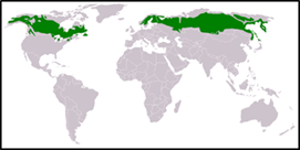 0901zynv-edef-271x136.png
