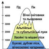 0901zyob-6686-173x171.png