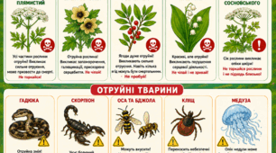 Постер - пам'ятка «Мої безпечні літні канікули. Обережно отруйні рослини та тварини »