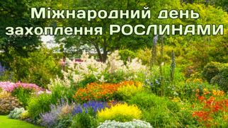 090202nk-f1b7-322x181.png