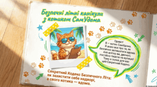 «Секретний кодекс безпечного літа: як захистити себе та свого котика»