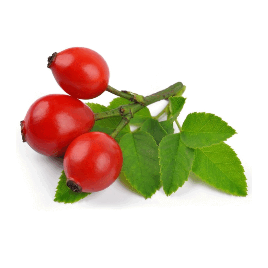 0902046w-36cc-940x940.png