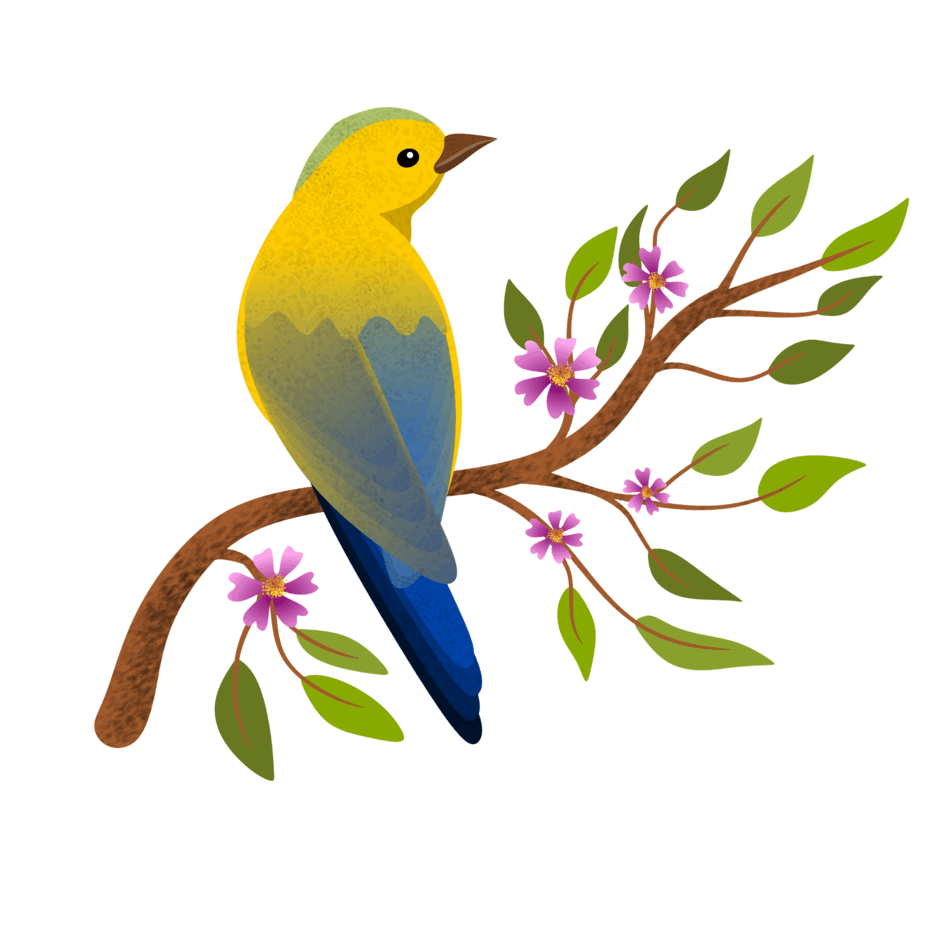 0902047i-6c47-940x940.png