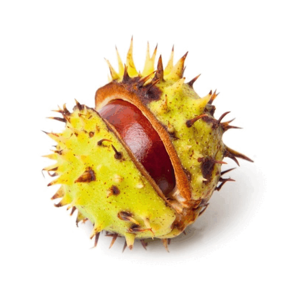 0902047u-83fc-940x940.png
