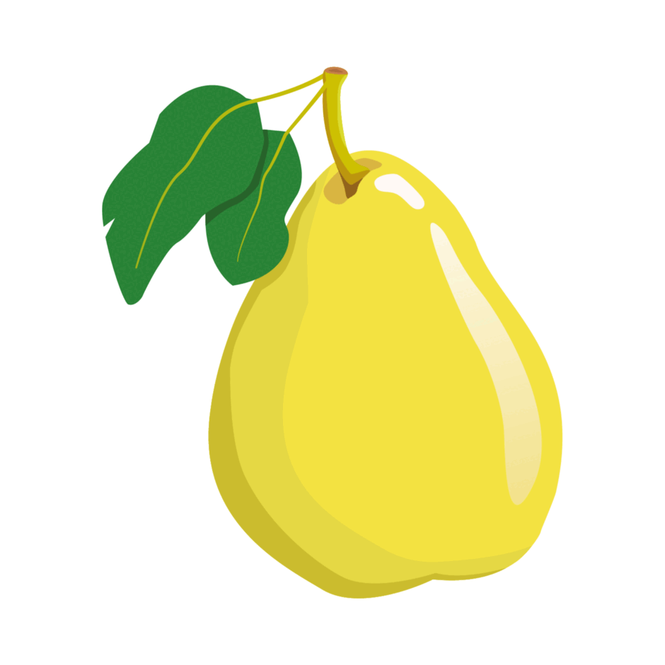 0902047z-c967-940x940.png