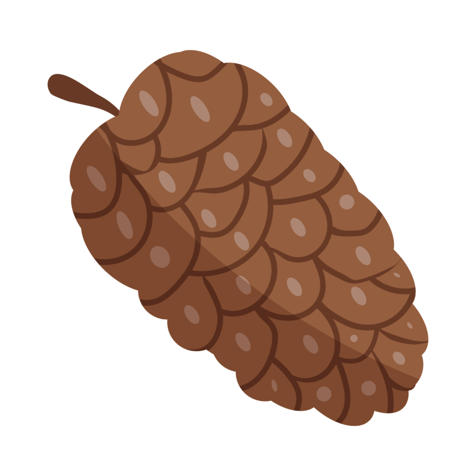 09020499-60fd-940x940.png