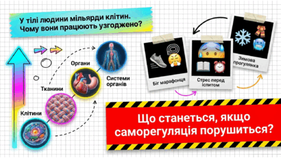 090204l8-0932-410x231.png