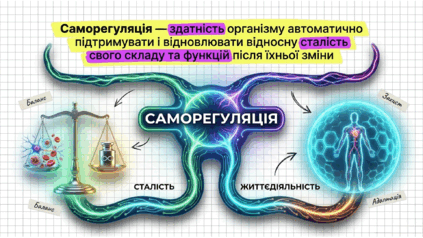 090204lc-ed05-423x238.png