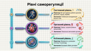 090204ld-3d08-385x217.png