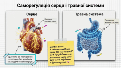 090204le-f0f2-410x231.png