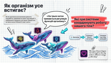 090204me-cc85-385x217.png