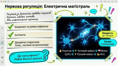 090204mn-6b7e-382x215.png