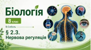 Нервова регуляція. 8 клас НУШ